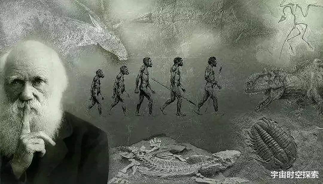 进化论:人类是由古猿进化的,学术界认同这种观点吗?