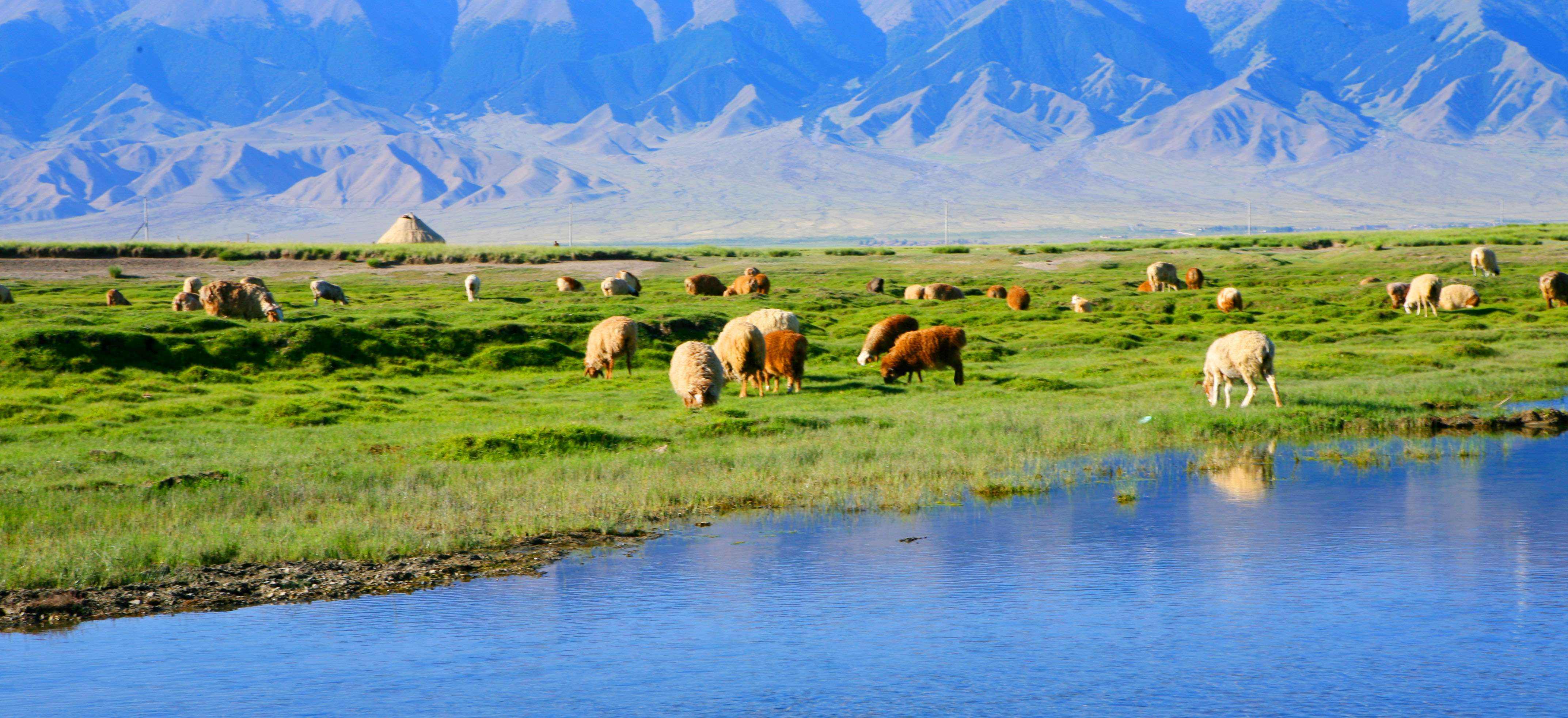 新疆维吾尔自治区|哈密，去新疆只去这一个城市就够了，千万别错过！