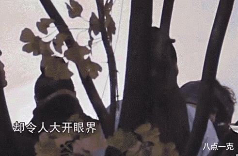 明星|吐痰、小便、肇事逃逸，这些明星人前星光熠熠，人后素质堪忧