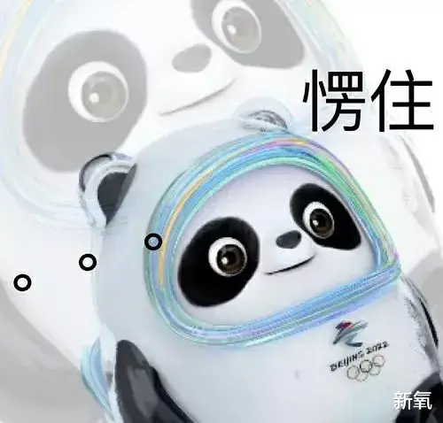 |白富美长相却是个铁憨憨,这反差感爱了!