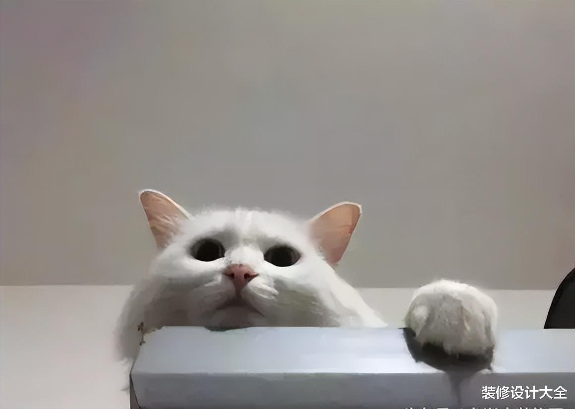 媳妇在装修公司上班,家里装修全是她弄的,阳台榻榻米太赞了!