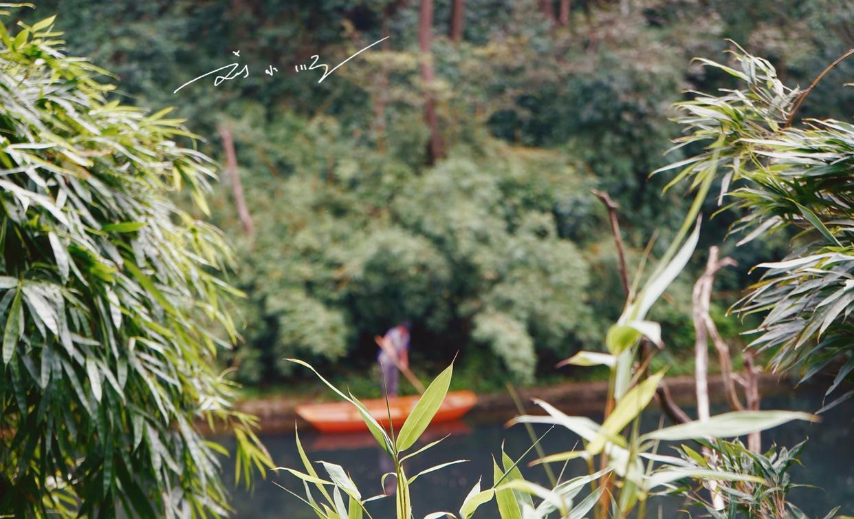 贵阳|贵阳这个“风水宝地”,有“黔南第一山”的美誉,猴子媲美峨眉山