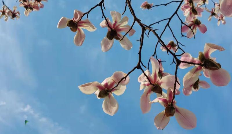 全力以赴|人到中年，你该明白的十大道理