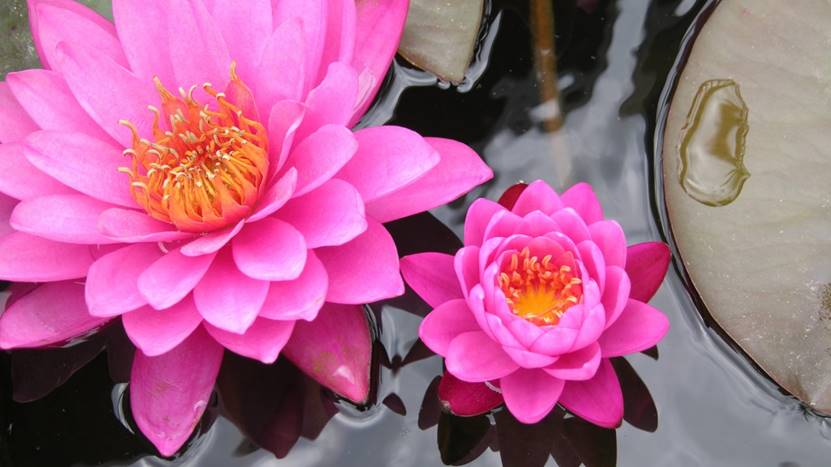 肠胃|连续5分钟,让你的脑袋安静了很多