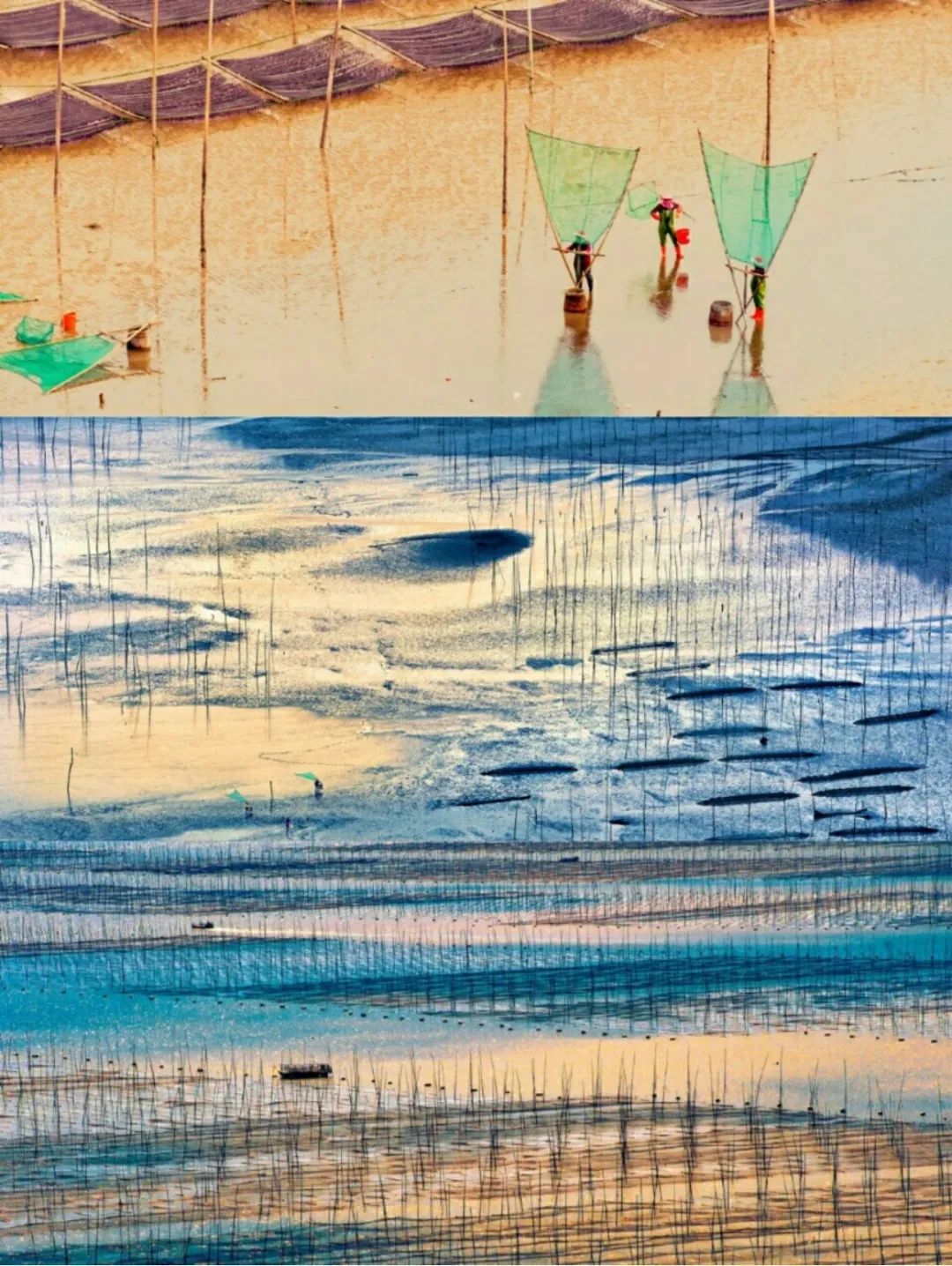 |海岛风光媲美夏威夷,被誉为中国的斯里兰卡,文艺村庄如人间仙境