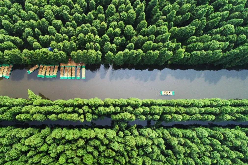 江苏省|江苏有个绝美景区走红，投资12亿建成，还被誉为“水上兵马俑”