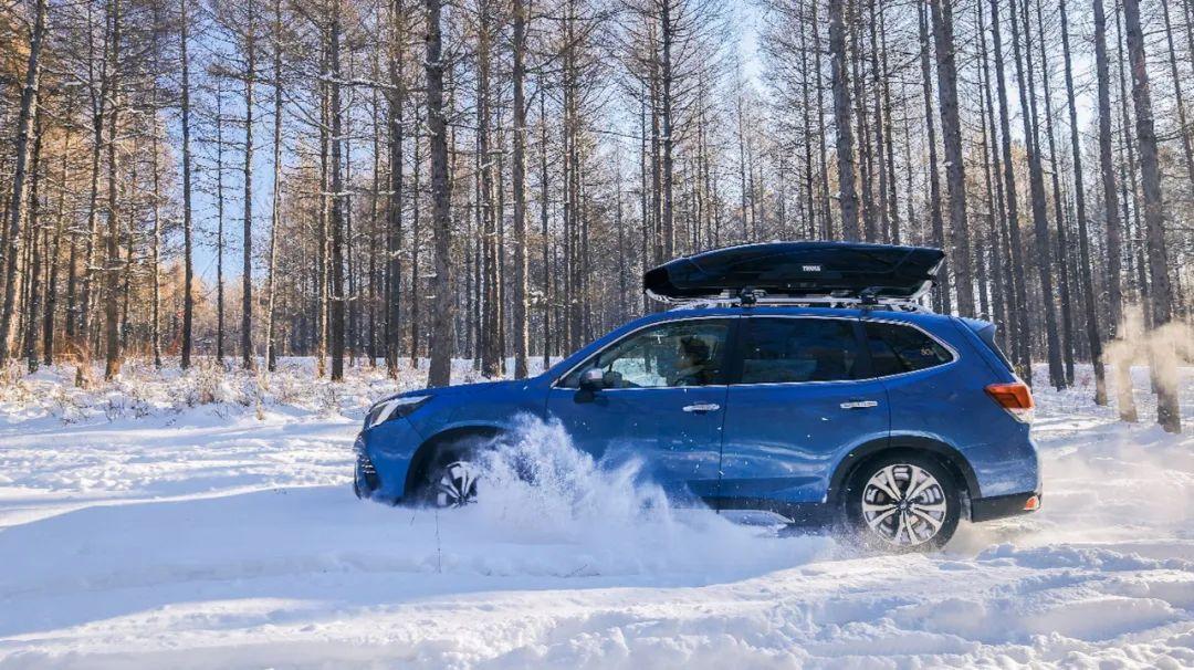 涨停|《雪国的森林》纪录片以外的故事:敖鲁古雅使鹿部落