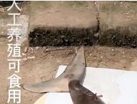 福建街头惊现黑丝车友媛,视频全网疯传:人没了羞耻心有多可怕?