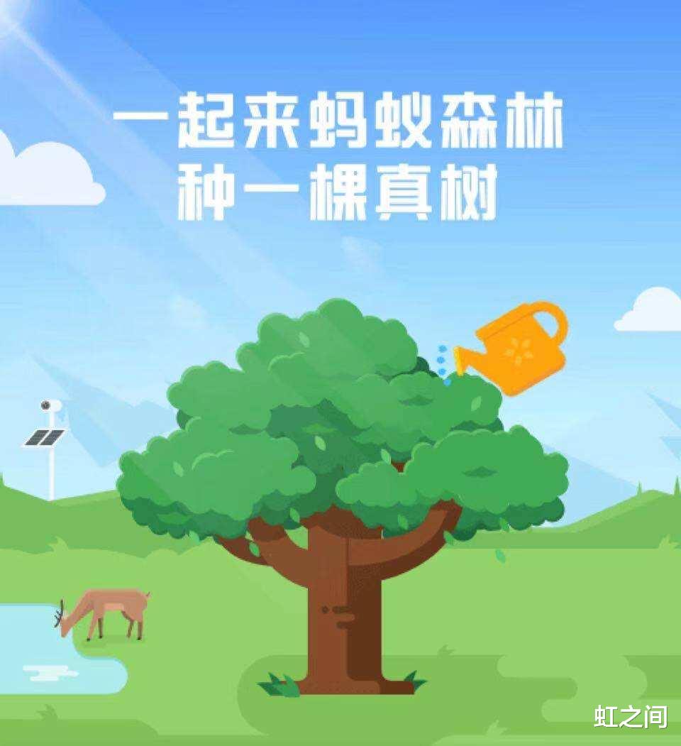 阿里巴巴|马云承诺每年种的1亿棵树，现在怎么样了？