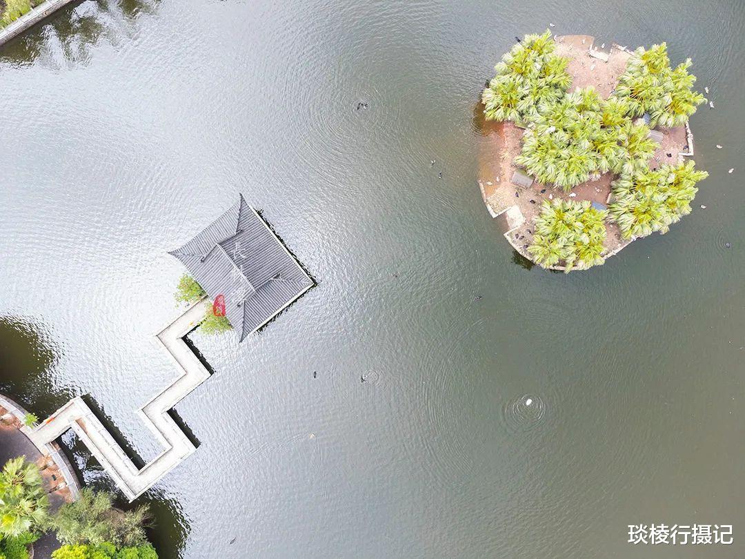 荷花|夏日亲子打卡地推荐,投资20亿的长株潭“后花园”