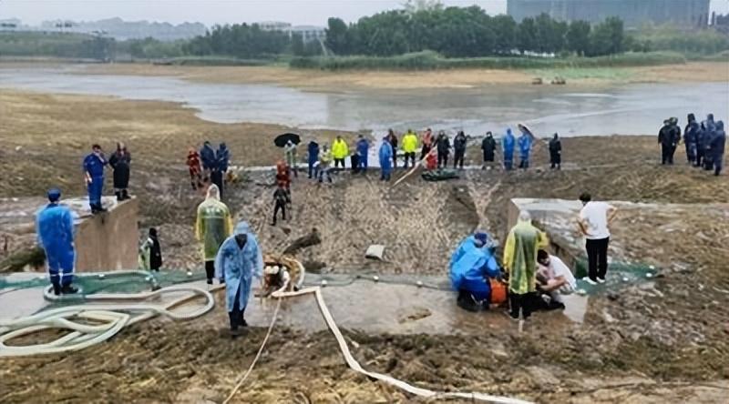 我国多地人工湖被“怪鱼”攻陷,源头防控刻不容缓