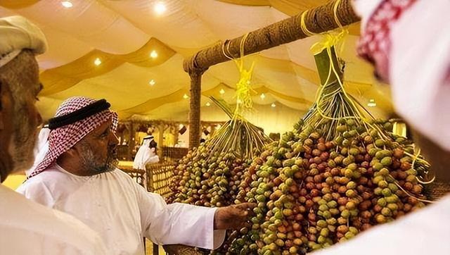 雪峰山|阿联酋要赠送10万株椰枣树苗给中国，椰枣是啥？我国为何如此重视