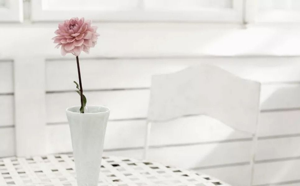 |治愈精神内耗，做更有价值的事