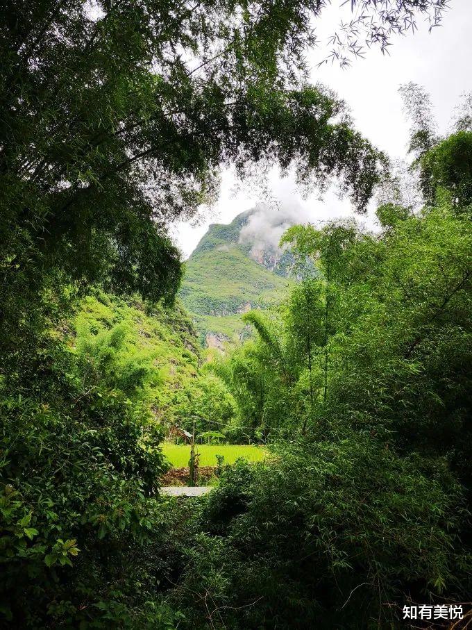 草原|初夏最适合去旅行的10个好去处，选一地出发，过一个清凉夏日！