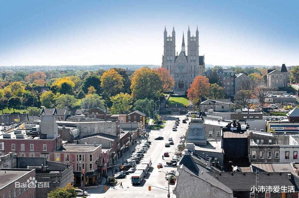 大S|论学历,大S“高攀”具俊晔?“仰望”汪小菲?