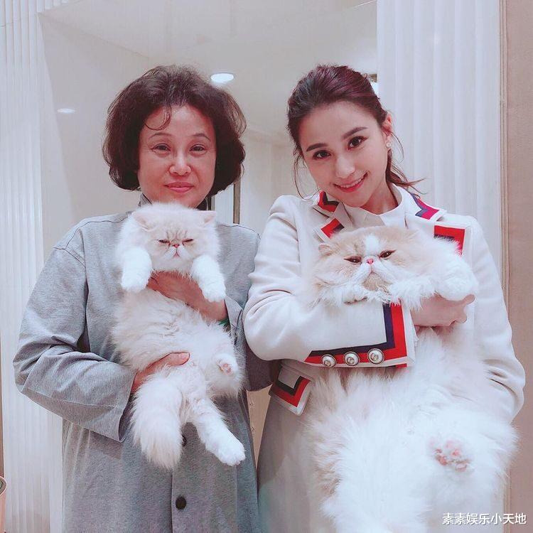 何超莲|何超莲为照顾自己20年的保姆过生日，贴心送蛋糕，感情胜似亲人