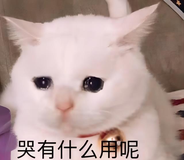 hr|90后打工人面试,想找个双休的工作,HR:“看来你还是不差钱啊”