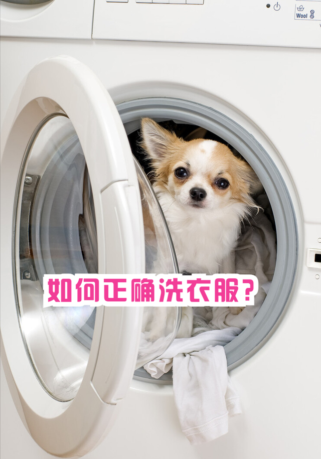 洗衣服只知道倒洗衣液?教你洗衣小妙招,洗衣干净又卫生