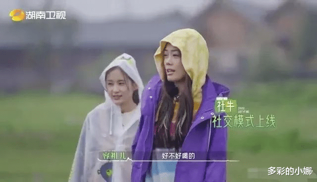 王子文|渣男终于被反噬了?