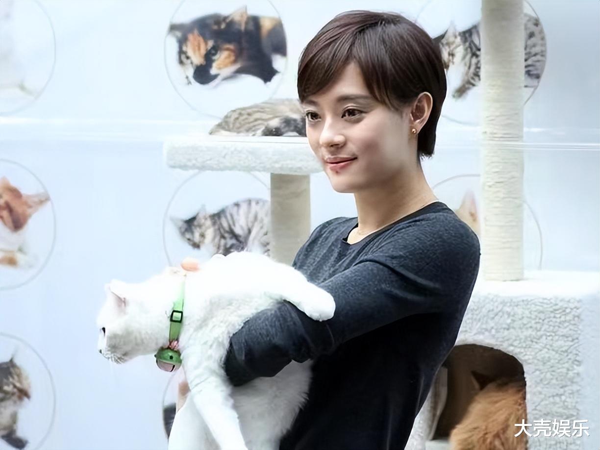 孙俪|孙俪晒孩子和猫咪相处日常,猫咪是去年捡的,网友夸她人美心善