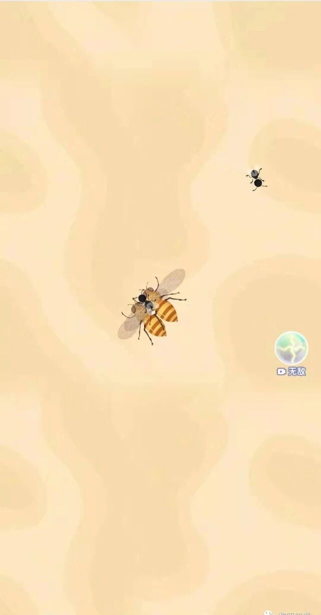 召唤神凤|还在召唤神龙吗？我已经开始《召唤神凤》了！