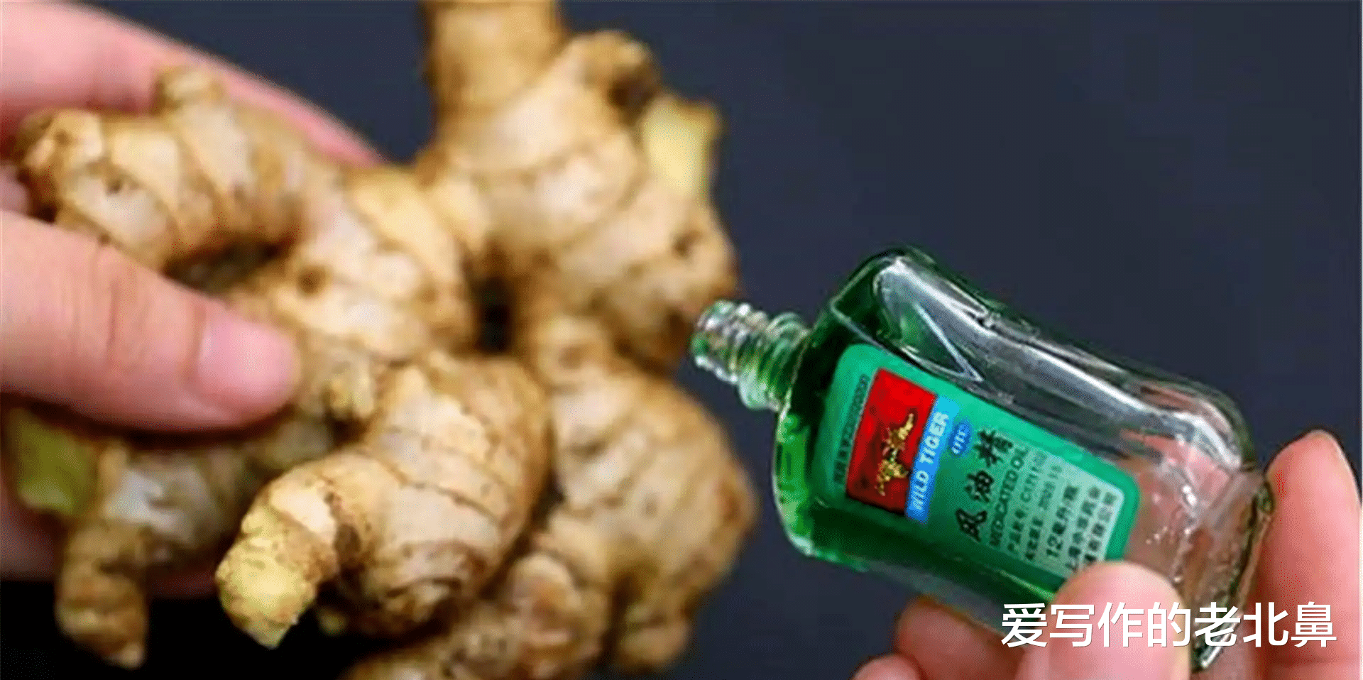 蛇最怕什么?在野外碰到蛇该怎么做呢?