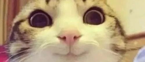 电视机|农行软件测试工程师笔试题