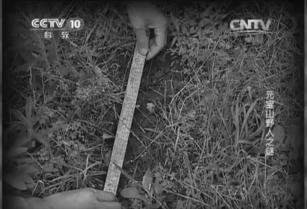 1993年,村民被野人掳走10天后才回家,为探究真相调查组展开考察