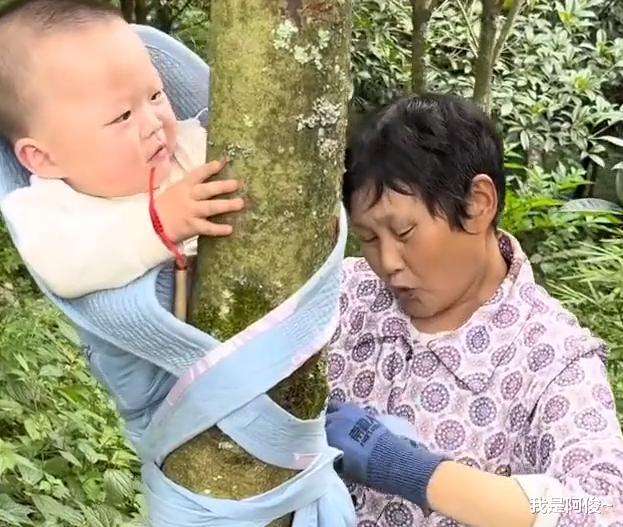 云南一奶奶下地干活又想照顾孩子,10个月大婴儿被绑树上不哭不闹