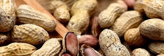 洋葱|血糖高不能吃花生吗?医生:血糖高的人,这4种“素食”或要少吃