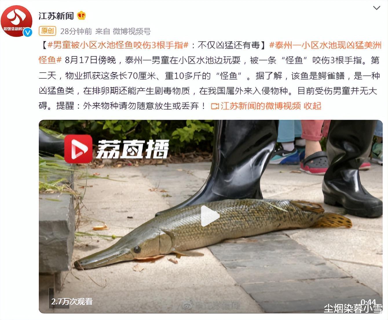 3000万网友围观,只为了观看一条鱼的抓捕过程,这条鱼什么来头?