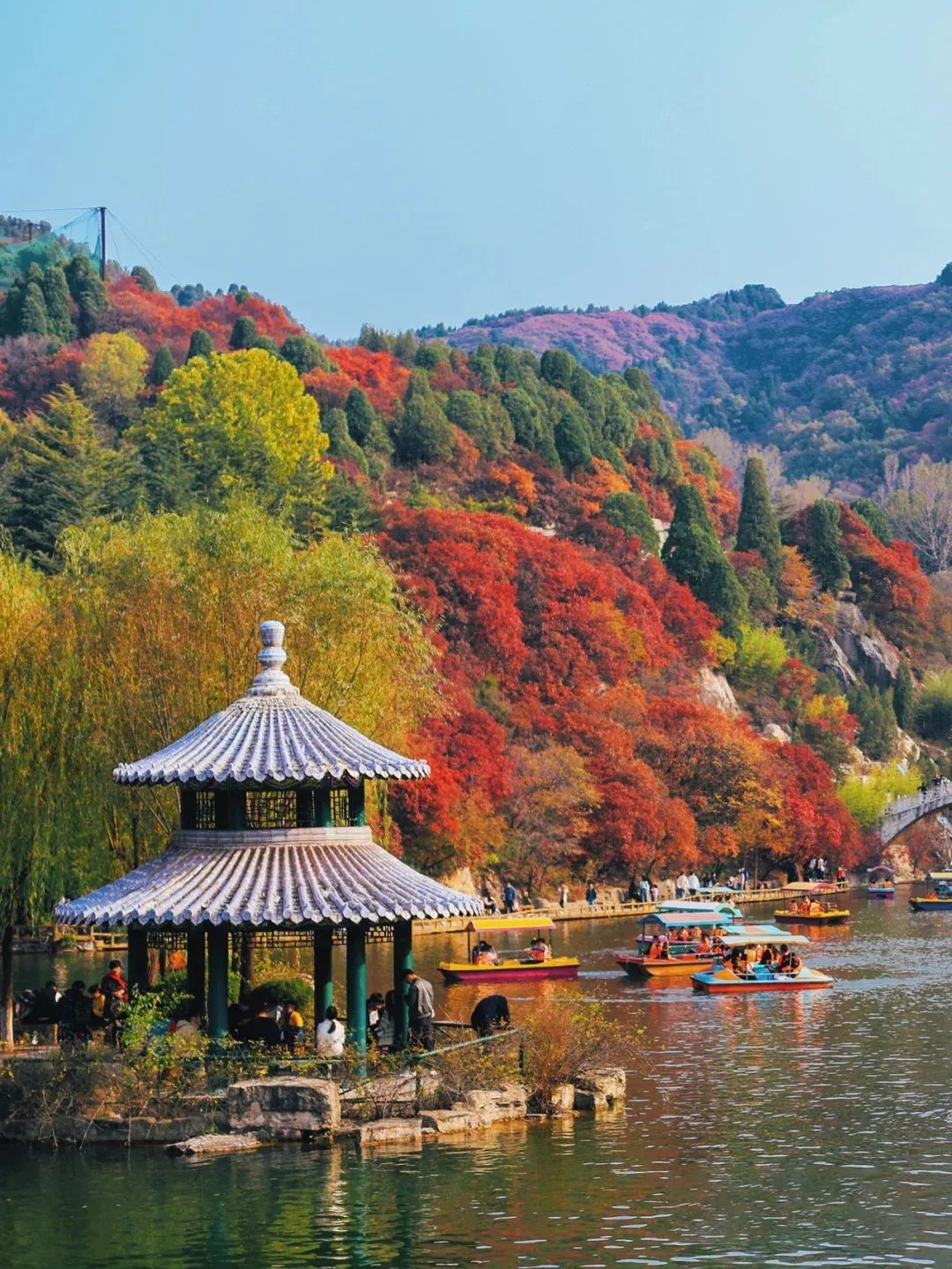 济南|比苏州更江南，小吃堪称一绝，这座低调的北方水城，秋天美翻了
