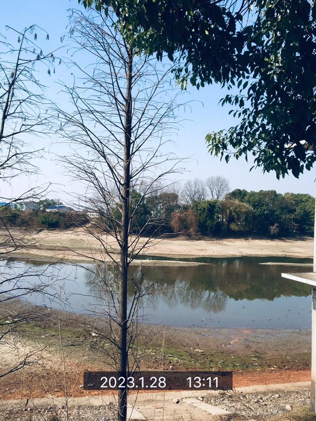 饵料|风和日丽开工日，鳊鳊起舞迎兔年！