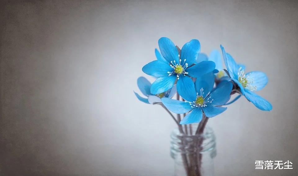 婚姻|婚姻要想过得好，女人不能靠男人，要靠三种“底气”