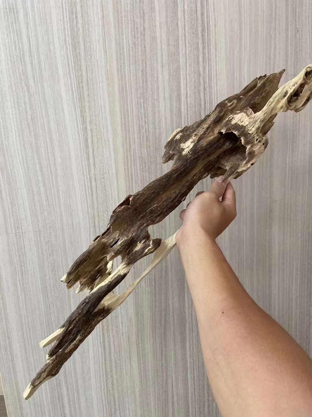 博物馆|奇楠沉香妙用