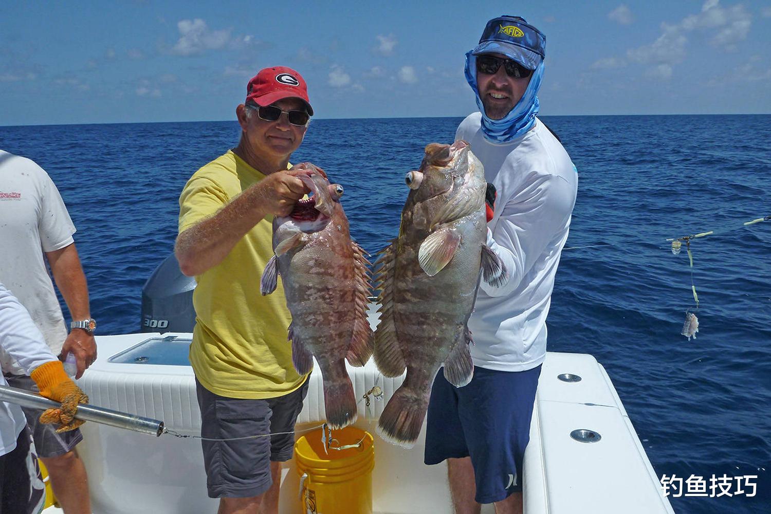 |石斑鱼最喜欢吃哪种味型的食物？石斑鱼的摄食习性和垂钓技巧