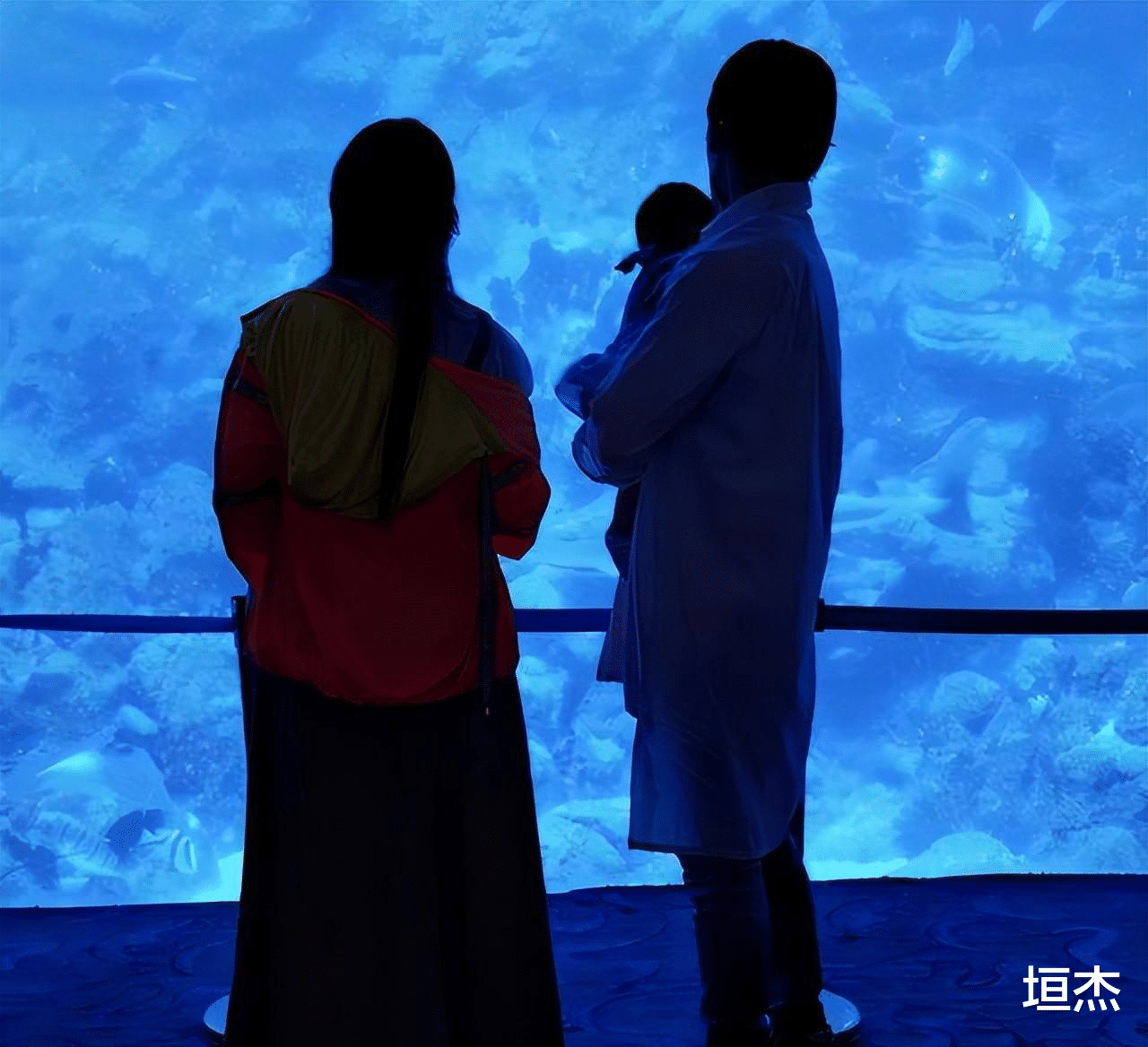 郭碧婷|出道20年15部作品，记录郭碧婷的少女感，是如何一步步消失的