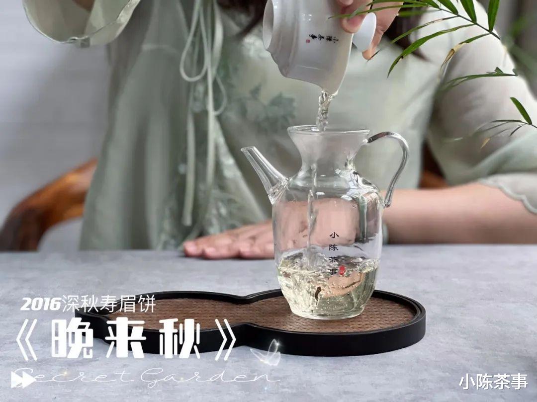 鉴定白茶饼好坏的9大干货，实用不踩雷，买对好茶的概率提升很多