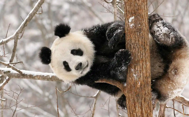 气候趋向不归路?2022年或许只是起点,很遗憾!中国无力改变世界