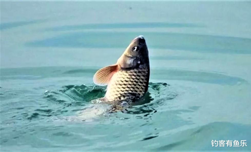 |野钓时调四钓二与调平钓二哪种调漂方法更好?