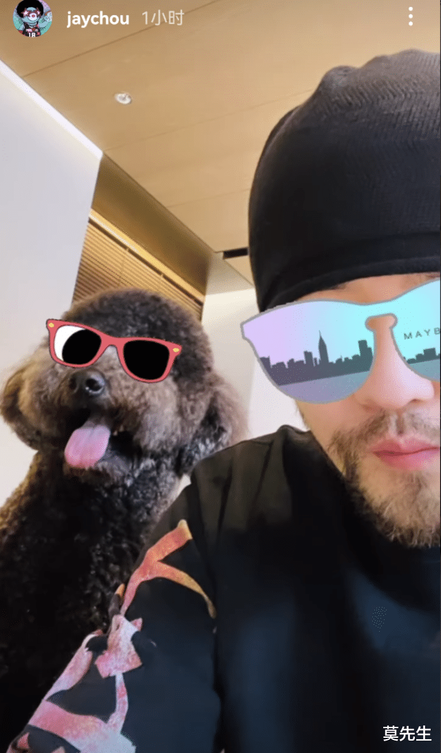 李湘|2天8个瓜,贵圈好生猛?韩国歌手为偷拍道歉,李湘王岳伦疑似复合