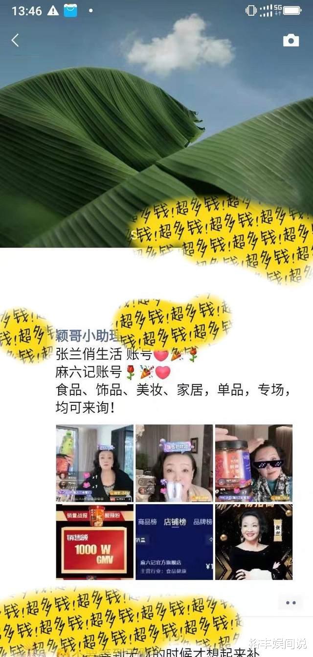 张颖颖|曝张兰疑似承认张颖颖身份！助理号已经开始对接商务，曾骂其臭虫