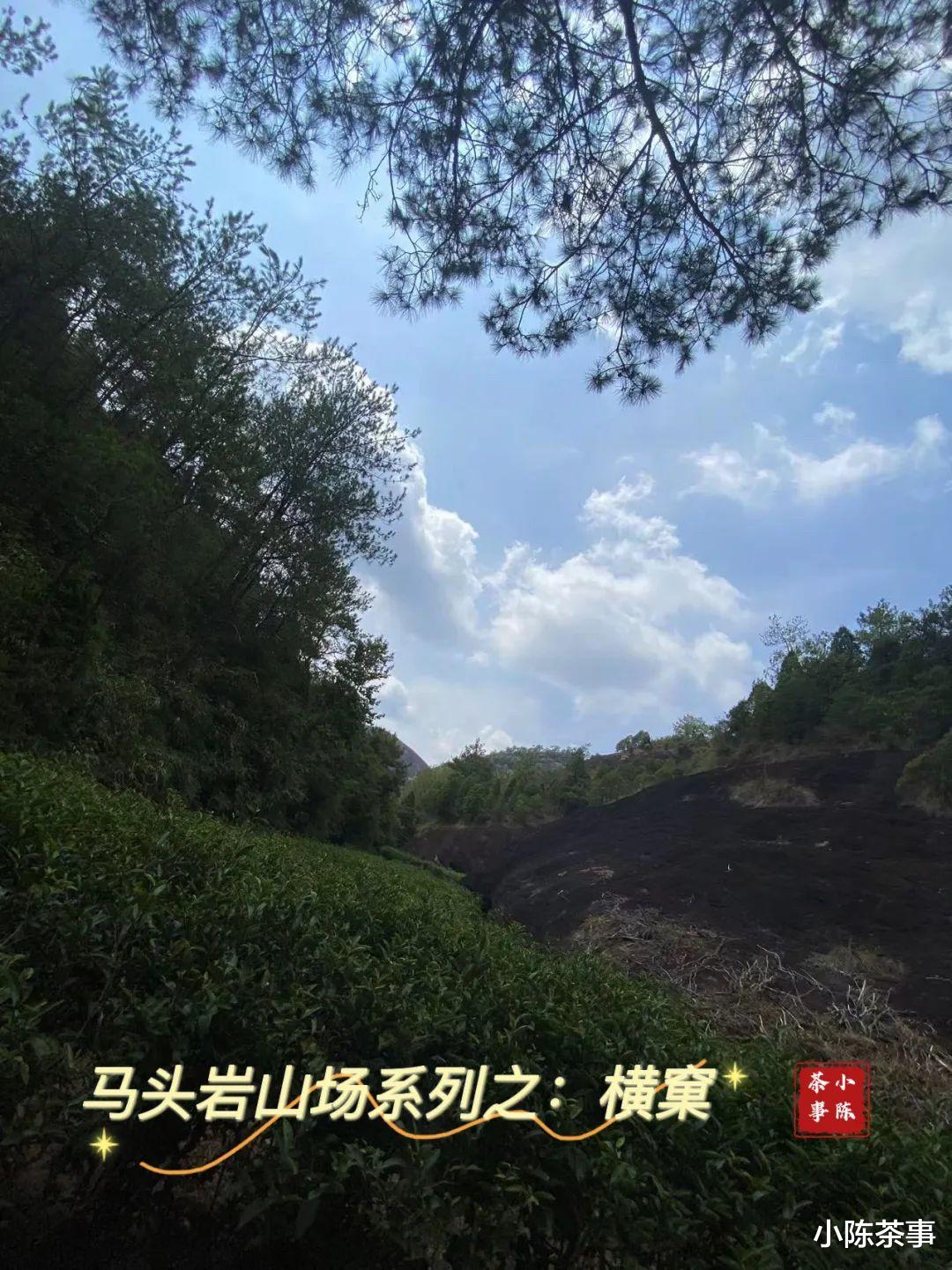 邮轮|开山坪、猫儿石、桃树窠，马头岩的山场究竟有哪几个？这是个谜团