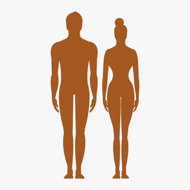 为什么总是男人高女人矮，动物界里大部分也是这样？