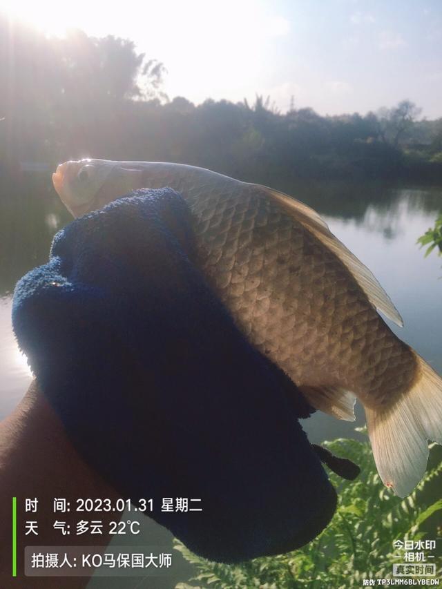 |大年大河大太阳，小打小闹小过瘾！