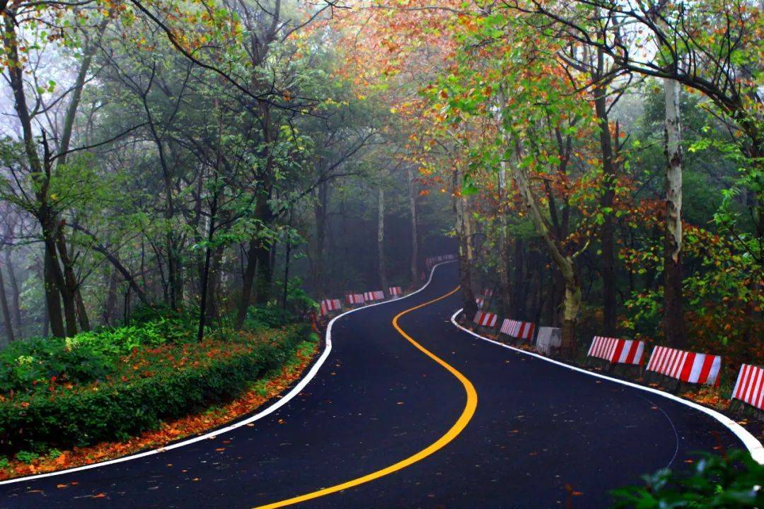 鸡公山|鸡公山景区| 5A揭牌涨人气 景区运行有秩序 国庆假期圆满收官！