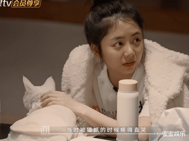 谭松韵|谭松韵素颜比谢娜美，自曝曾被猫抓疼得大哭，还去打了狂犬疫苗