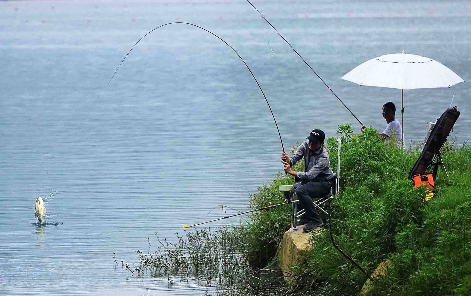 能见度|学会这3个技巧，3.6米的短杆也能连杆爆护钓大鱼