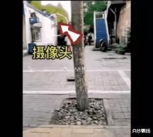 唐山烧烤店小巷子视频是否属实?