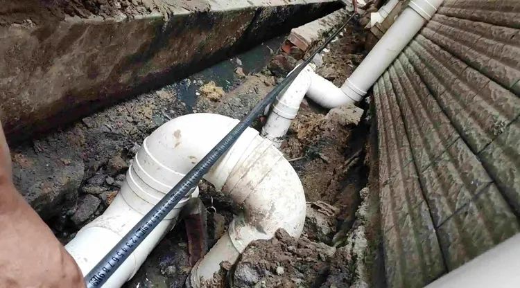 金科|低楼层缺点多，应该如何改善？（值得收藏）